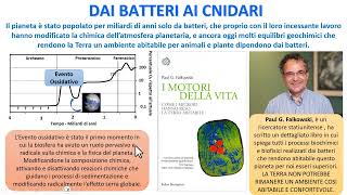 LEVOLUZIONE DELLA VITA COMPLESSA CON LA STABILIZZAZIONE CLIMATICA [upl. by Nicolis]