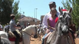 VII Feria del Caballo de Medina de Rioseco [upl. by Abelard]