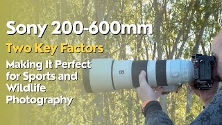 Discover the Dual Strengths of the Sony 200600mm Lens for Wildlife and Sports Photography [upl. by Brandi]