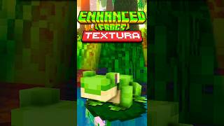 Minecraft 1206 Os novos Sapos do Minecraft  Enhanced Frogs TEXTURA JAVABEDROCK [upl. by Virg]