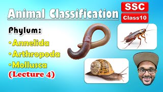 Animal Classification Lecture 4  Annelida Arthropoda Mollusca  Class 10  SSC  state board [upl. by Acirem]