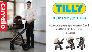 Обзор коляски Carrello Fortuna CRL9001 [upl. by Etnuahc]