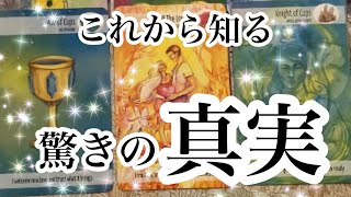 神回か✨✨驚きの連続でした✨✨これから知ることになる驚きの真実【タロット】 [upl. by Anne]