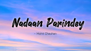 Nadaan Parindey lyrics  Rockstar  Mohit Chauhan  LYRICS🖤 [upl. by Anaik580]