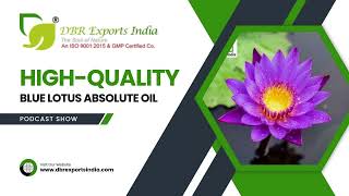 HighQuality Blue Lotus Absolute Oil Buy Blue Lotus Absolute Oil Online [upl. by Eicyaj]