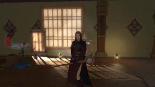 FFXIV Fashion Showcase Aurum Vale Dungeon Gear [upl. by Edaw593]