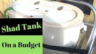 Shad Tank On a Budget Part 1 [upl. by Aneelehs]