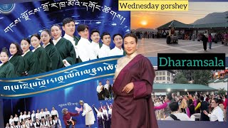 Dharamsala Tibetan Wednesday Gorshey tibetanmusic tibetanvlogger dharamshala explorepage [upl. by Whitford]