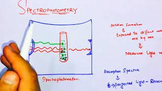 SpectrophotometerSpectrophotometry class 11 [upl. by Elmira]