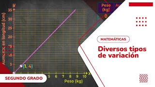 32 Diversos tipos de variación [upl. by Martella]