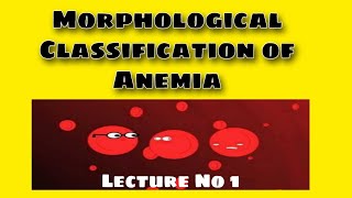 Morphological Classification of Anemia [upl. by Arehsat843]