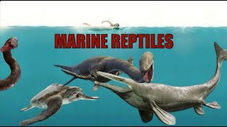 Marine Reptiles  liopleurodon titanoboa and plesiosaurs oh my geology fossil [upl. by Hesoj760]