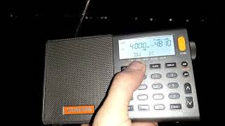 4000 kHz Unknown Beacon [upl. by Roosnam]