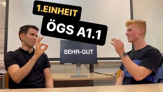 ÖGS A11 1Einheit Österreichische Gebärdensprache [upl. by Loftus]