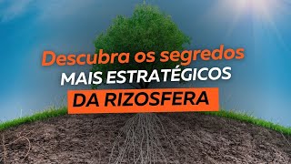 Descubra os segredos mais estratégicos da rizosfera [upl. by Ettenotna521]