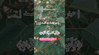 quotBest Quran recitationquot surahrahmanquranrecition shorts shortsfeed quran qurantilawat [upl. by Gargan]