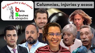 Calumnias Injurias y Acoso [upl. by Donnenfeld]