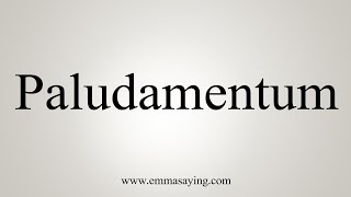 How To Say Paludamentum [upl. by Enier604]