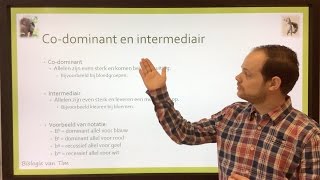 Biologie van Tim  Codominant en intermediair [upl. by Mohorva55]