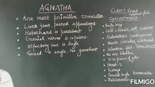 Agnatha and Gnathostomata [upl. by Ardnuaek]