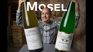 MOSEL  WINE IN 10 [upl. by Ignatia]