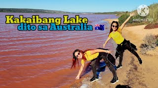 Pink Lake Lookout in Western Australia 🇦🇺 2024 [upl. by Ztirf]