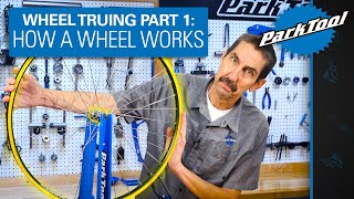 How to True a Wheel Part 1 How a Wheel Works [upl. by Nylkoorb952]