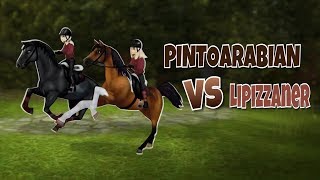 Arabian VS Lipizzaner  Speedtest  Star Stable Online [upl. by Rorke]