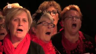 Smartlappen festival 2015 Tiel Fruitig geflipt [upl. by Meedan]