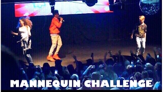 Mannequin Challenge at MattyBs Concert [upl. by Dnumyar]