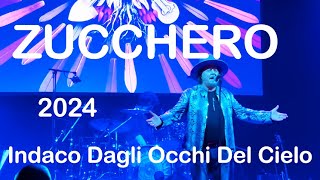 ZUCCHERO  Indaco Dagli Occhi Del Cielo Live video Riga 2024 [upl. by Kelcey919]