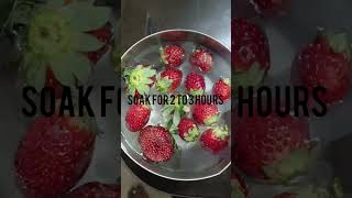 Strawberries and salt water experiment  strawberry Salt water experiment no worms [upl. by Tiossem272]