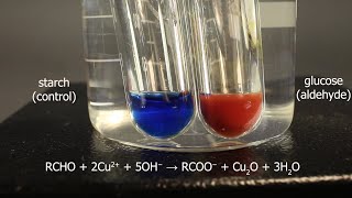 Fehlings solution test for aldehydes using glucose for positive result and starch for control [upl. by Latashia]