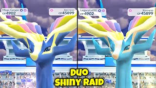 Xerneas Duo RAID 🔥 Pokemon Go [upl. by Graniela364]