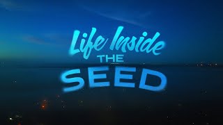 Life Inside the Seed [upl. by Ema259]