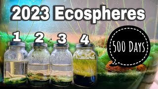 1 Year Ecosphere Update Incremental Improvement [upl. by Josey]