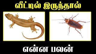 வீட்டுக்குள் இருந்தால் என்ன பலன்  Indian Astrology Predictions  T Tamil Technology [upl. by Hephzipah711]