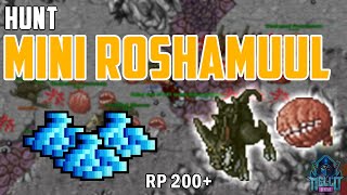 Hunt RP 200 Mini Roshamuul  Boquinha Feyrist [upl. by Narol]