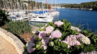 Adriatic Sea Sailing Day3 Hver Flotilla of Sunsail [upl. by Leipzig]