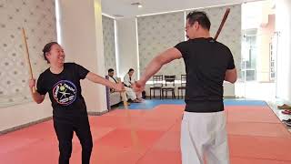 Redonda and Sinawali flow drill of Filipino Martial Arts [upl. by Akemat]