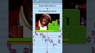 Super Mario Bros 2  The Notorious BIG [upl. by Nitsur]