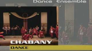 Ukrainian dance ensemble quotNadzbruchankaquot Ансамбль танцю quotНадзбручанкаquot [upl. by Elbertina596]