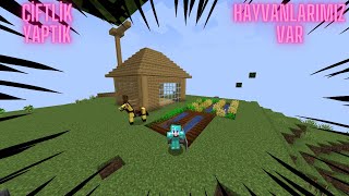 Minecraft SMP 3Bölüm Çiftlik Yaptık  Hayvanlarımız Oldu [upl. by Sioled]