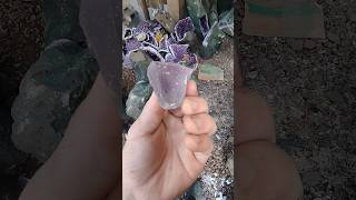 Brilho de ametista fino amethyst minerals preciousstone [upl. by Bethina]