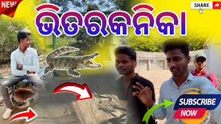 ଭିତରକନିକା ଜାତୀୟ ଉଦ୍ୟାନ  BHITARKANIKA NATIONAL PARK  RAJNAGAR KENDRAPARA  INNOCENT MUNA  👉🐊🐊 [upl. by Rickey833]