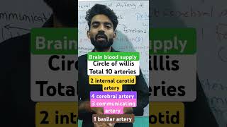 Circle of Willis shortbrain blood supply sk nursing classesfollow [upl. by Nehtanhoj]