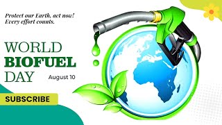 quotBiofuels The Future of Energy Todayquot biofuel [upl. by Newfeld]