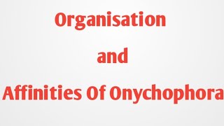 Organisation and Affinities of Onychophora [upl. by Stephania]