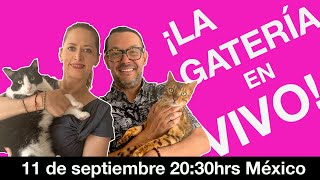 ¡LA GATERÍA EN VIVO miércoles 830pm Mex [upl. by Jolyn704]