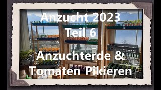 Anzucht 2023 Teil 6  Anzuchterde amp Tomaten Pikieren [upl. by Georgetta]